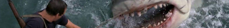 Roy Scheider hangs onto the mast of a sinking boat and fights a shark.