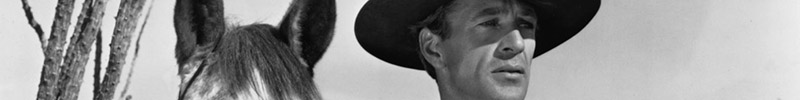 Gray Cooper's head and a horse's ears.
