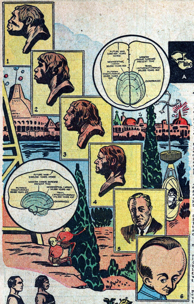 A chart showing how evolution works- sort of.