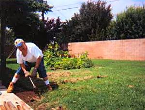 Dad and his accidental garden.