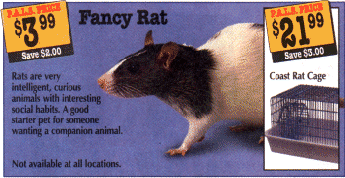 Are you a Fancy Lad?